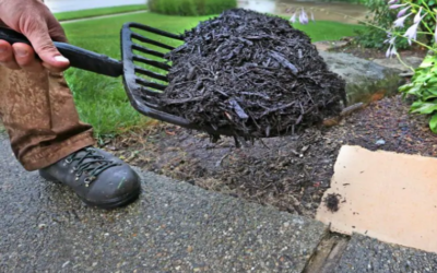 Why Mulch Is So Important – Mulch Types, Benefits, and Maintenance Tips…