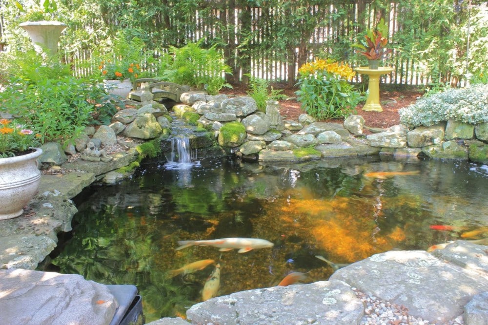 Modern rectangular koi pond