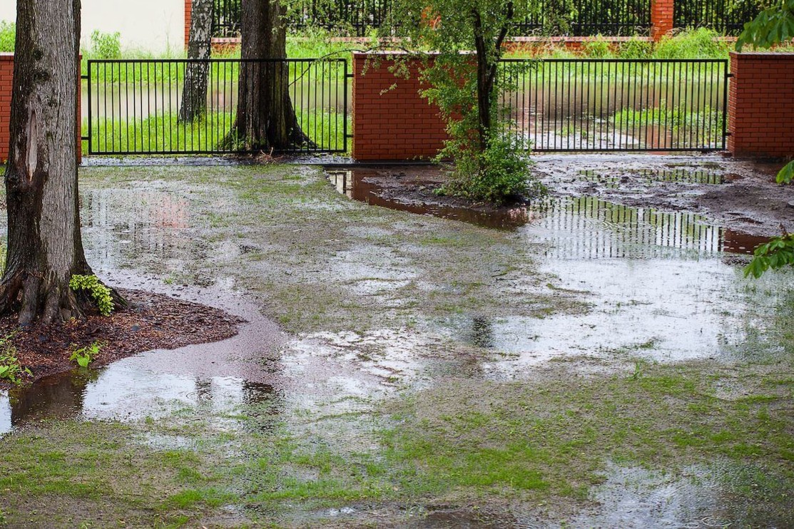 When and Why You Should Consider Adding a Drainage System ...