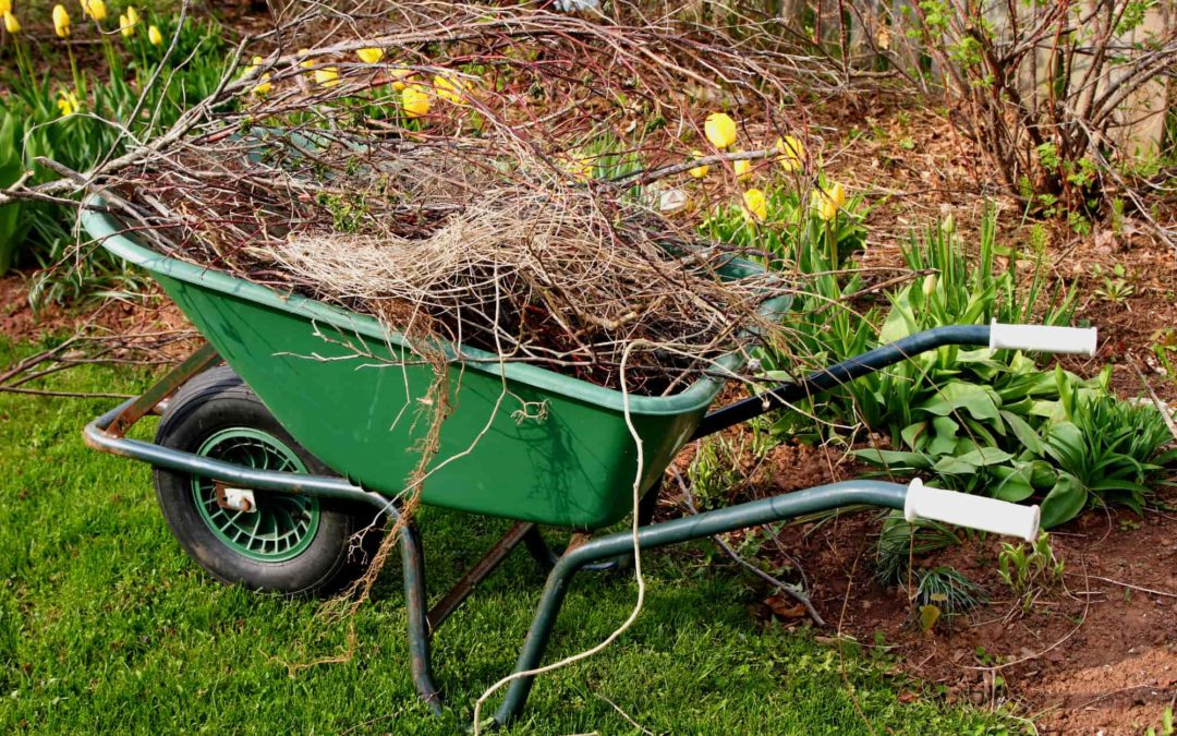 5 Things To Consider This Spring To Have Your Yard Looking Great This Summer…