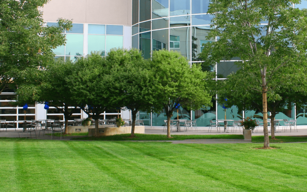 6 Services That Should Be Included in Your Year ‘Round Commercial Landscaping Maintenance Contract…