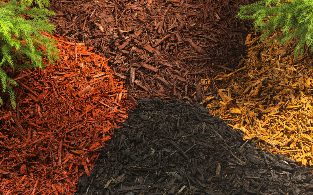 A Simple Guide To Mulch – Types, Tips, and Where To Mulch…
