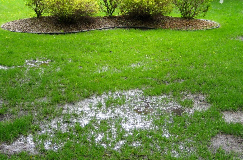 Do You Have A Drainage Problem On Your Property?  We Have Drainage Solutions!…