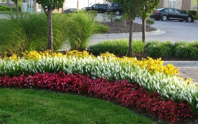 Commercial Landscaping Projects That Improve Your Company’s Image and Improve the Bottomline…